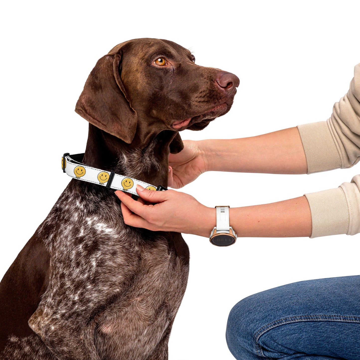 Happy melt Pet collar